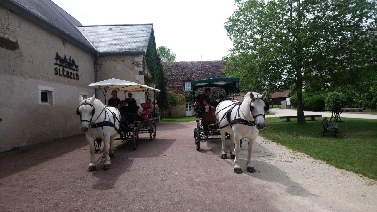 Le Village De Cottages - Le Pole Du Cheval Et De L'Ane Lignières Exteriör bild
