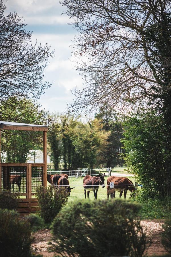 Le Village De Cottages - Le Pole Du Cheval Et De L'Ane Lignières Exteriör bild